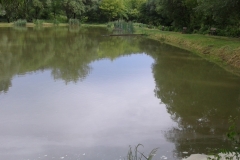 Látóhegy 1 tó (09)